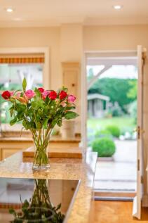 Kitchen/Garden