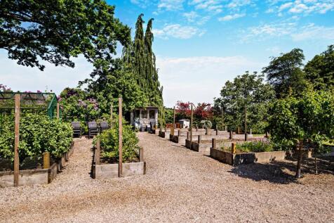 Grounds