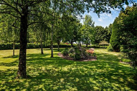 Grounds