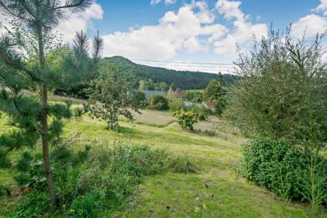 Meadow &amp; Orchard