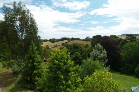 Grounds