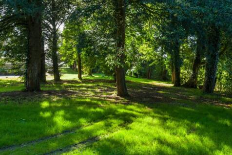 Grounds