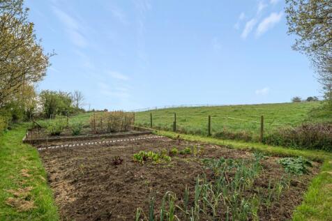 Vegetable Garden
