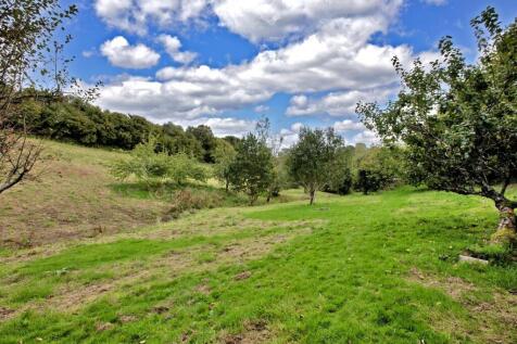 theolddairy2024the old dairy blackawton (13)21SMAR