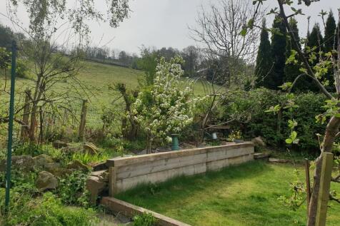 Garden 1