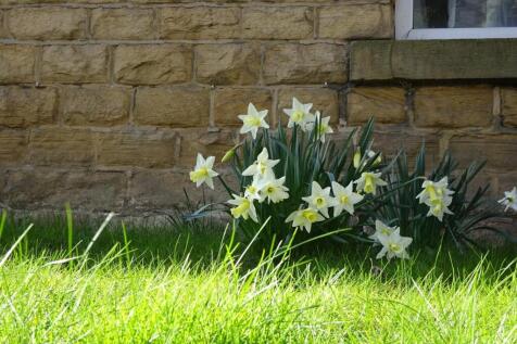 27 Spring Hill Road - Front Garden.JPG