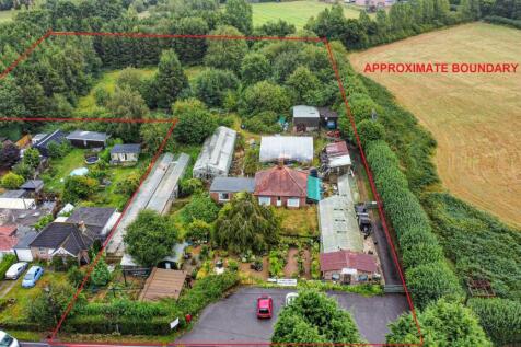 Photo 19-08-2024, 13 57 49 (1)_Alto.jpg