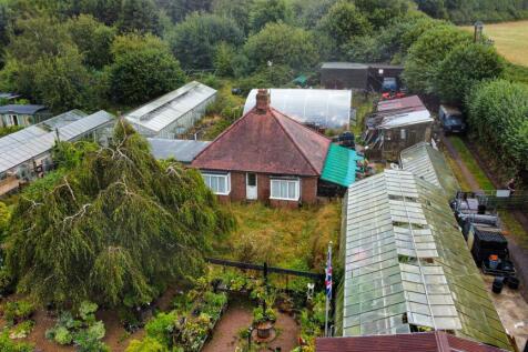 Photo 19-08-2024, 13 57 49 (39)_Alto.jpg