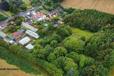 Photo 19-08-2024, 13 57 49 (8)_Alto.jpg