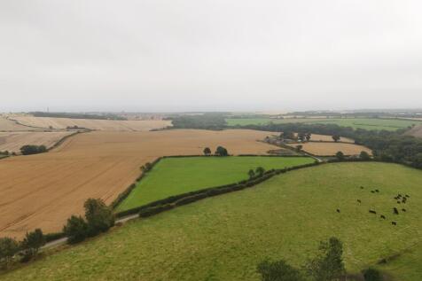 dji_fly_20240906_150258_0295_1725632233929_photo