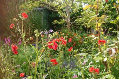 Garden A.jpg