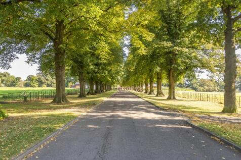 Entrance Road