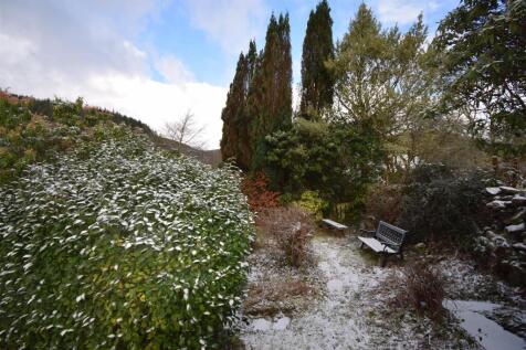 DSC_0354.JPG