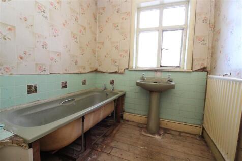 IMG 7171  Medium  T202510301105.jpg