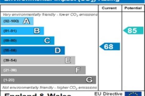 ENVIRONMENTAL  IMPAC