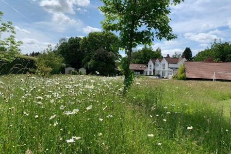 Wildflower Meadow