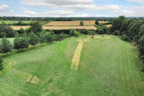 Field and Pond