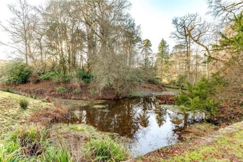 Natural Pond