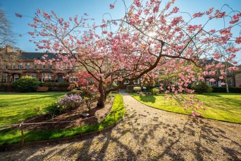 Pleasure Gardens