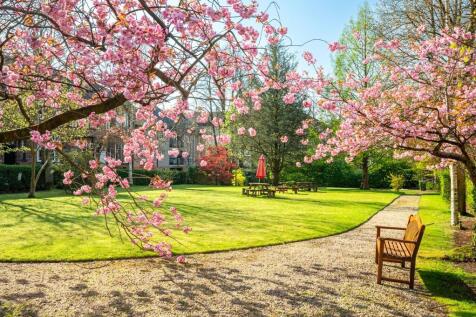 Pleasure Gardens
