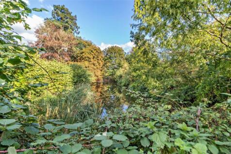 Pond