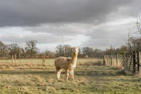 Paddocks