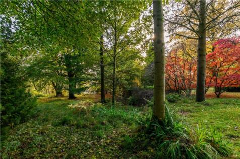 Woodland