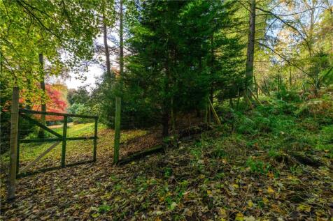 Woodland