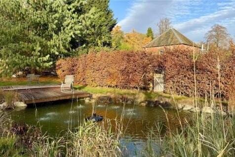 Pond