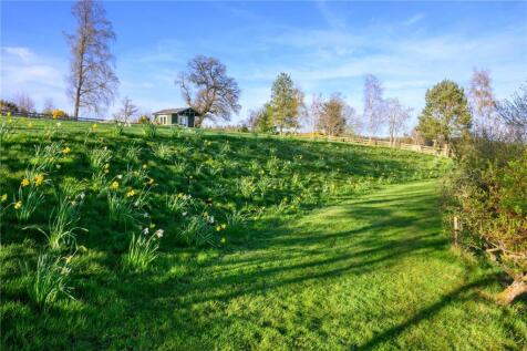 Daffodil Bank