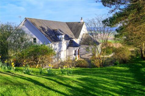 Back Garden