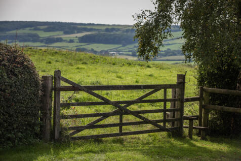 Country Views