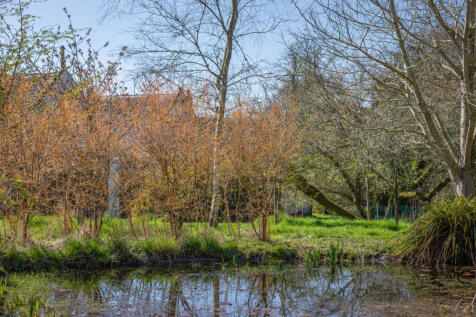 Pond