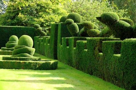Topiary
