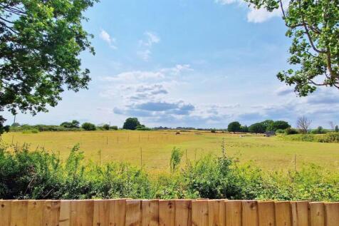 Alternate Rear Views