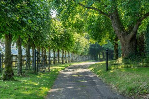 Rear Driveway