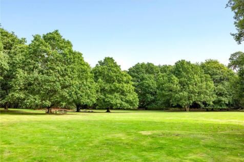Grounds