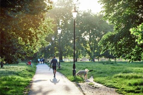 Local Area Photograp