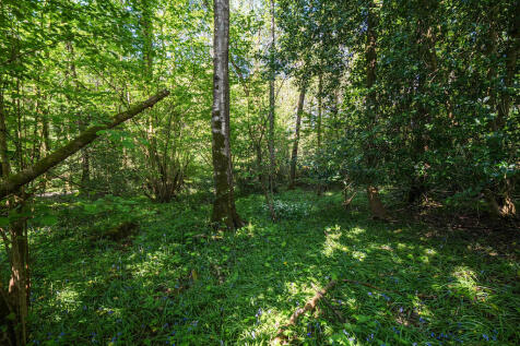 Woodland
