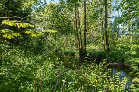 Woodland