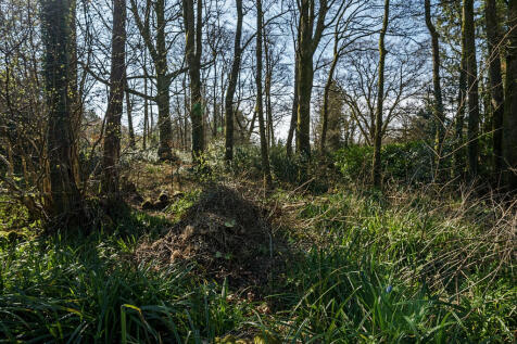 Woodland