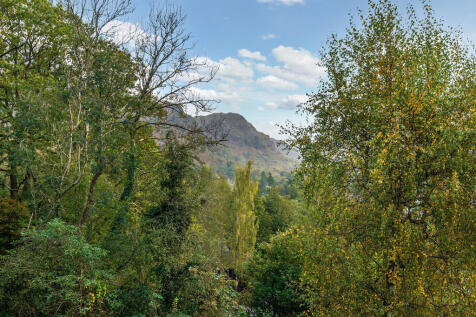 Woodland and Fell...