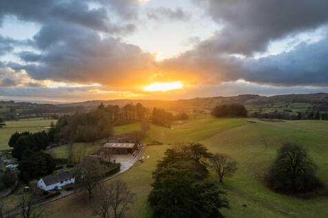 Aerial Shot