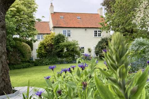 Garden In May