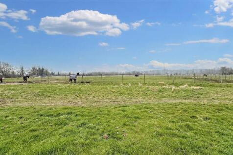 Paddock Land