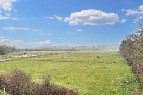 Paddock Land