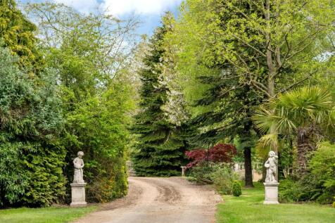 Grounds