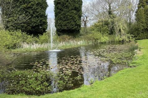 Grounds