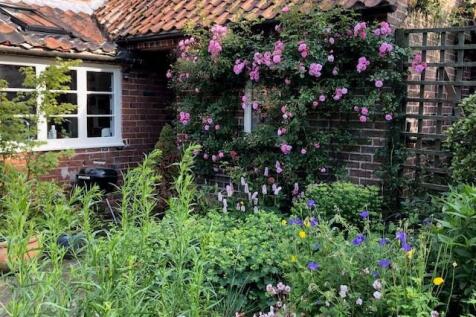 Vendor photos June 25 -1.jpg