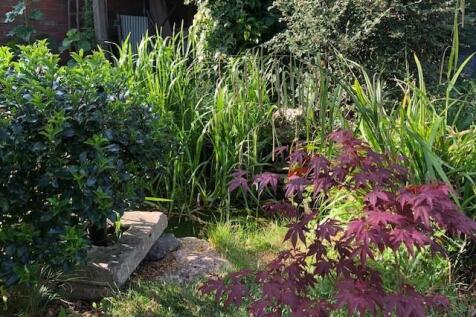 Vendor photos June 25 -3.jpg